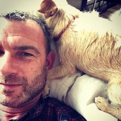 4. Oktober 2018   "Genau da, wo ich sein möchte. Danke euch allen", postet Hundefan und Geburtstagskind Liev Schreiber.