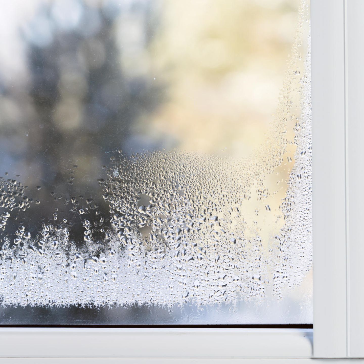 Kondenswasser am Fenster: 3 Experten-Tipps gegen die Feuchtigkeit
