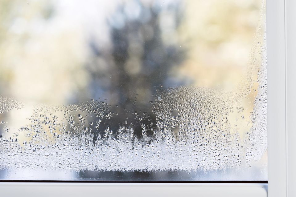 Kondenswasser am Fenster 3 ExpertenTipps gegen die Feuchtigkeit GALA.de