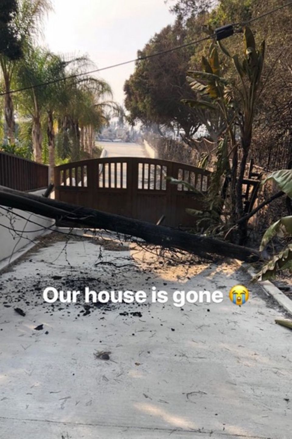 Robin Thickes Freundin April Love Geary verkündet in ihrer Instagram-Story die traurigen News. Robin Thickes Freundin April Love Geary verkündet in ihrer Instagram-Story die traurigen News.