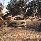 In ihrem Wohnort Malibu hat das Feuer besonders stark gewütet und Schutt und Asche hinterlassen.