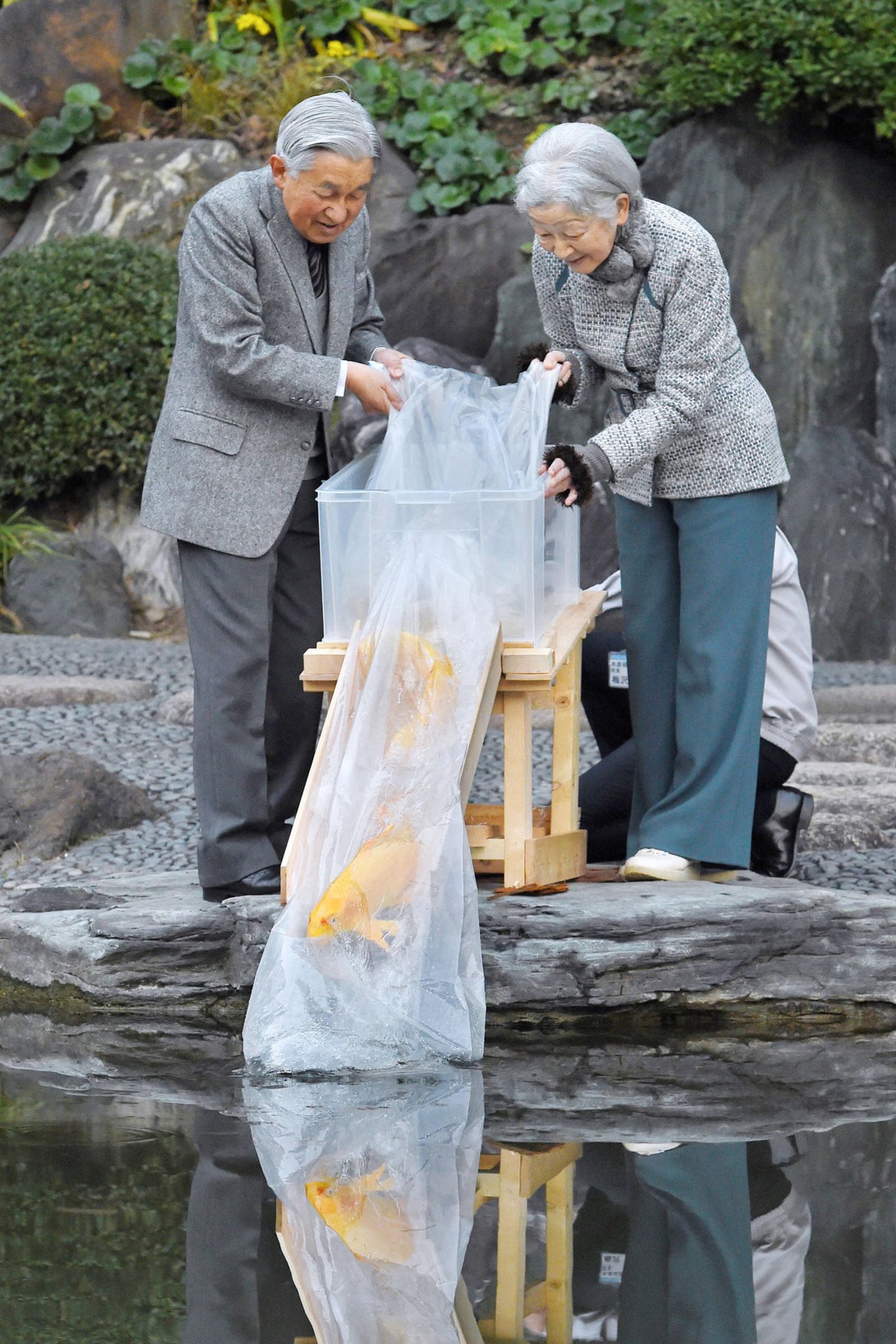19. November 2018  Kaiserin Michiko und Kaiser Akihito lassen die Koi-Karpfen in einen Teich im Ninomaru-Garten im Kaiserpalast von Tokio frei. 