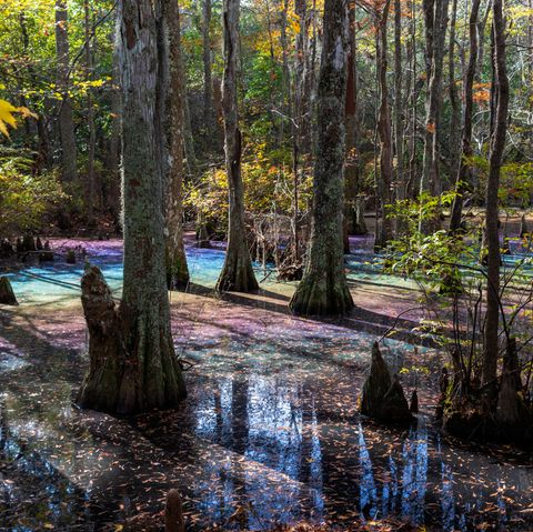 Rainbow Pool