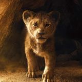 Im Sommer können sich Kinoliebhaber auf die Neuverfilmung des Disneyhits "Der König der Löwen" freuen. Der Trailer des Animationsfilms sorgt jetzt schon für Gänsehaut.