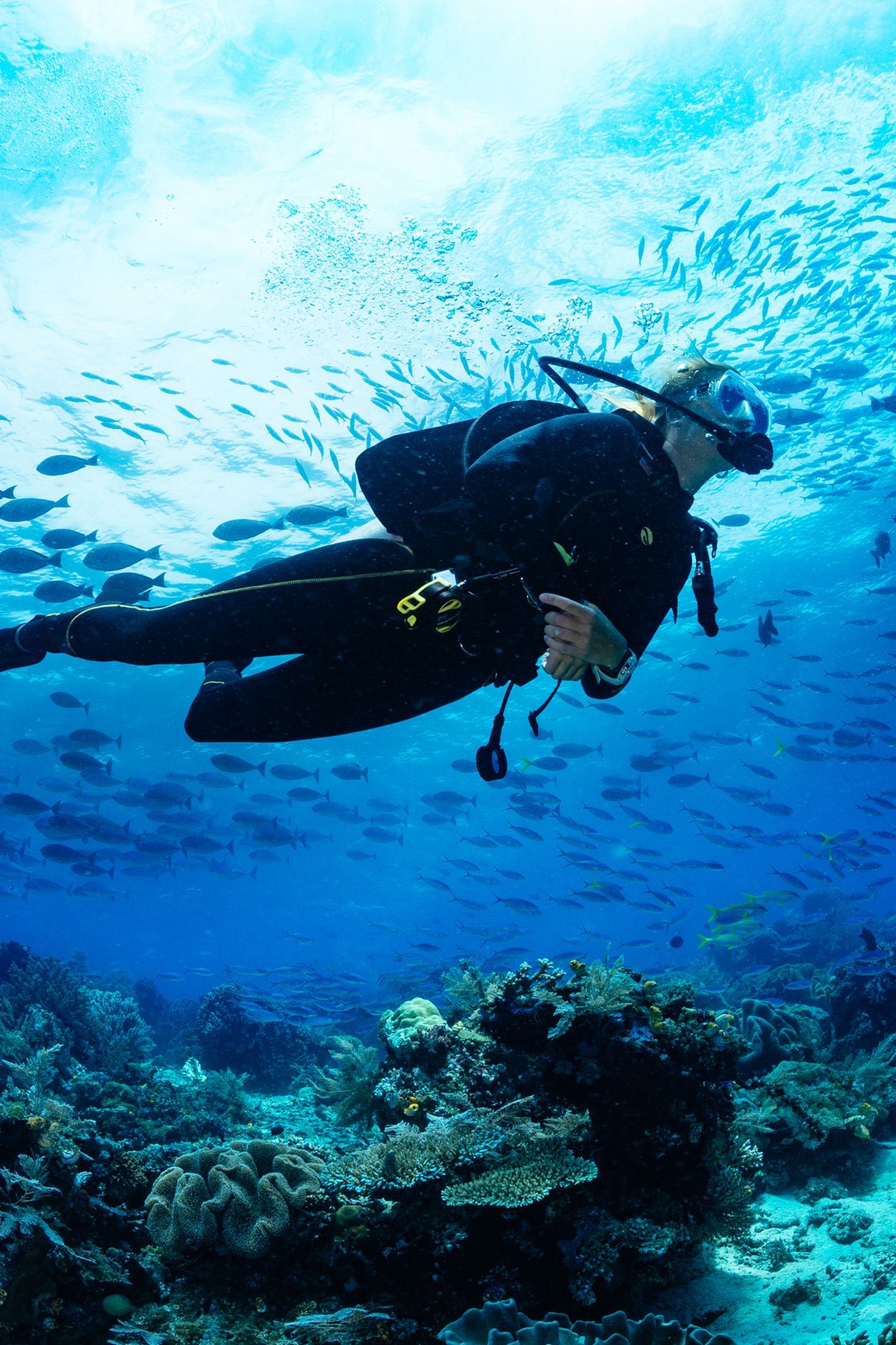 Mann Geht Tauchen Und Kommt Vollig Entstellt Wieder Gala De