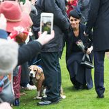 Als großer Hundefan begrüßt Herzogin Meghan ihre tierischen Fans natürlich besonders gerne.