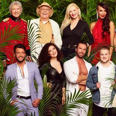 Ab dem 11. Januar 2019 heißt es im deutschen TV wieder: "Ich bin ein Star – Holt mich hier raus!" Dem glücklichen Gewinner winken in der neuen Staffel erstmals 100.000 Euro Sieg-Prämie. Dafür nehmen diese zwölf Kandidaten den Kampf gegen Kakerlaken, Lagerkoller und den inneren Schweinehund auf. 