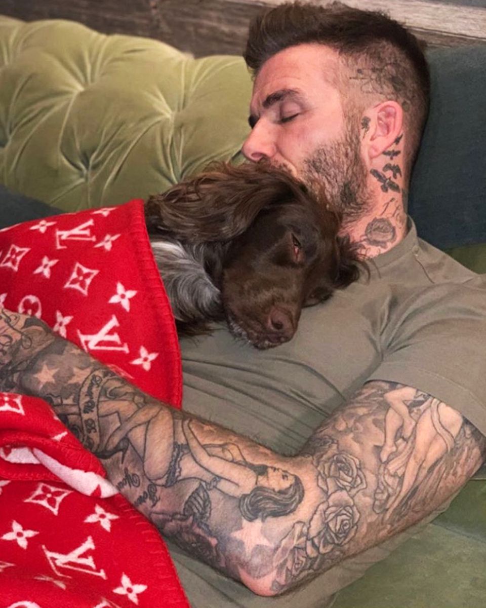 12. Januar 2019 Olive, der Familienhund der Beckhams hält gerne mal ein Nachmittagsschläfchen mit Papa David. Und das natürlich standesgemäß warm eingekuschelt in eine Designer-Decke von Louis Vuitton. Wer hat, der hat! 12. Januar 2019 Olive, der Familienhund der Beckhams hält gerne mal ein Nachmittagsschläfchen mit Papa David. Und das natürlich standesgemäß warm eingekuschelt in eine Designer-Decke von Louis Vuitton. Wer hat, der hat!