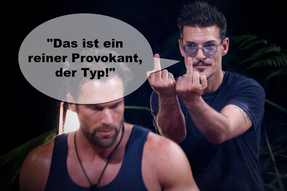 Dschungelcamp 2019 Die lustigsten Sprüche der Kandidaten GALA.de