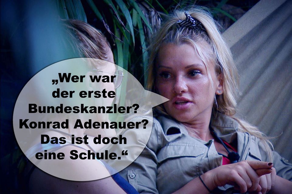 Dschungelcamp 2019 Die lustigsten Sprüche der Kandidaten GALA.de