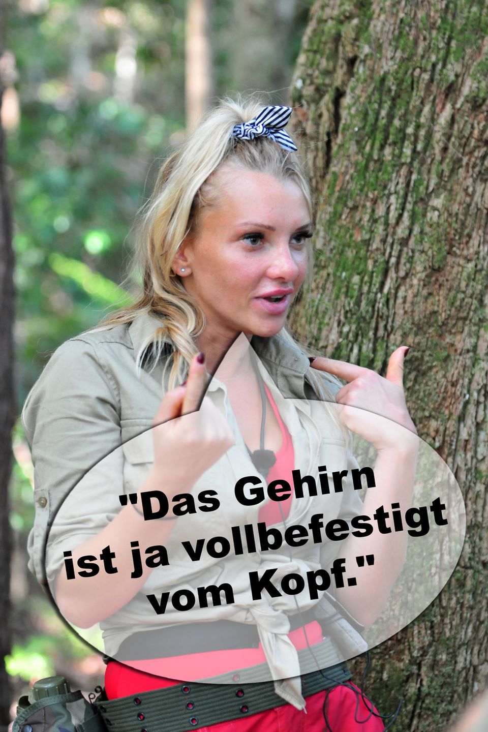 Dschungelcamp 2019 Die lustigsten Sprüche der Kandidaten GALA.de