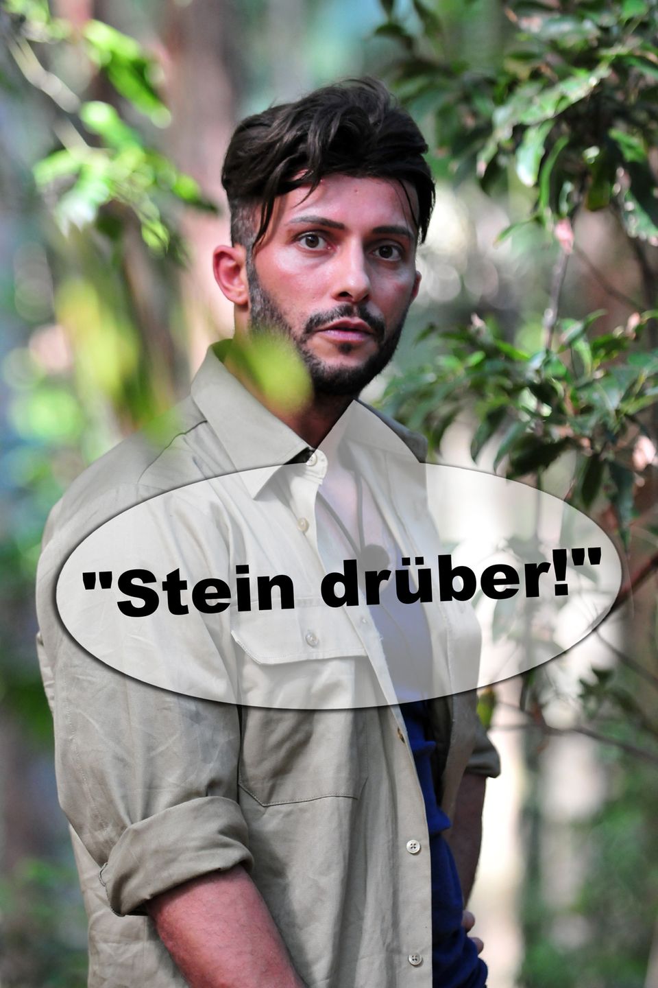 Dschungelcamp 2019 Die lustigsten Sprüche der Kandidaten GALA.de