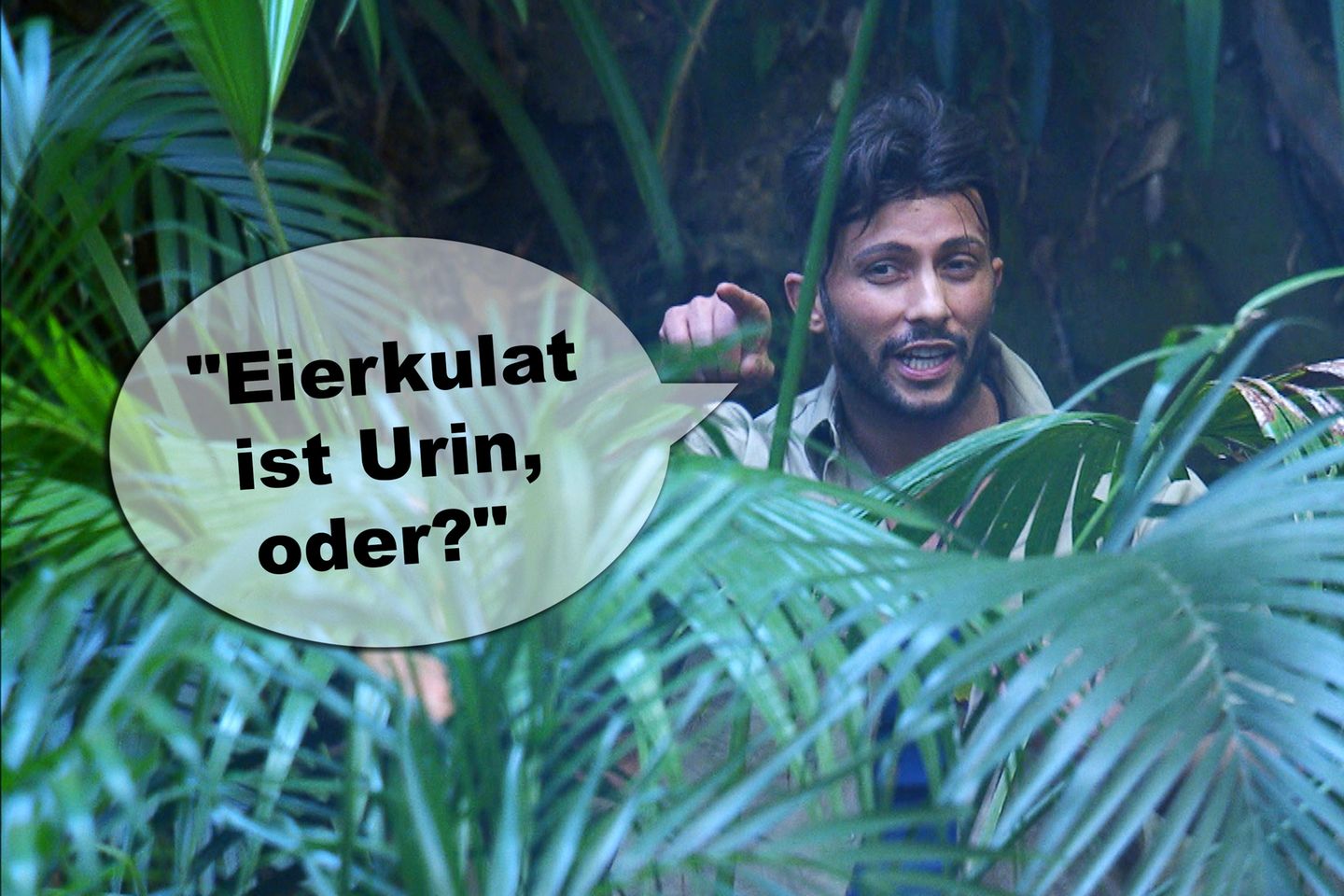 Dschungelcamp 2019 Die lustigsten Sprüche der Kandidaten GALA.de