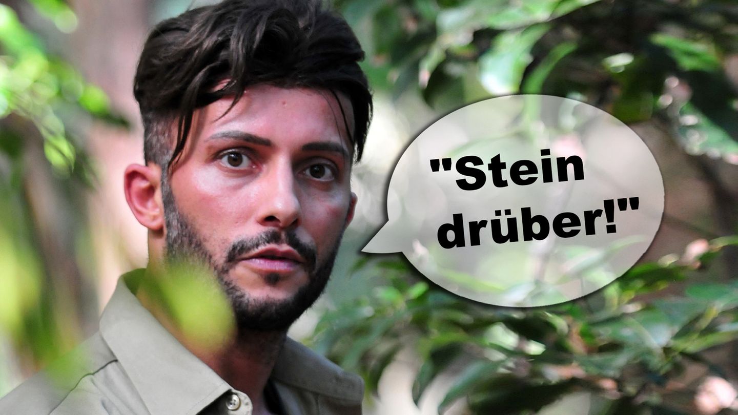 Dschungelcamp 2019 Die lustigsten Sprüche der Kandidaten GALA.de