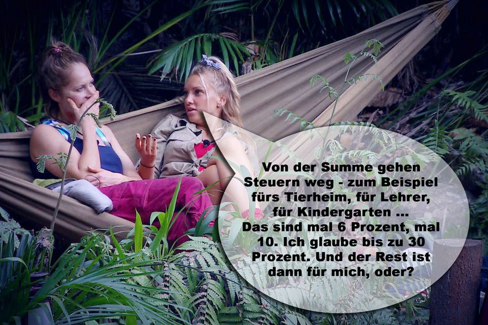 Dschungelcamp 2019 Die lustigsten Sprüche der Kandidaten GALA.de