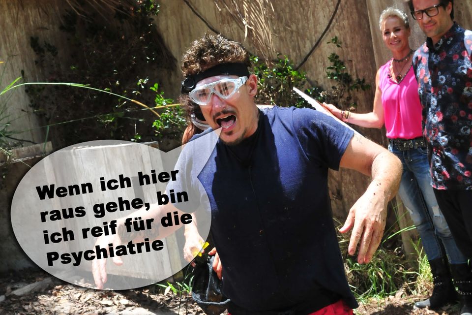 Dschungelcamp 2019 Die lustigsten Sprüche der Kandidaten GALA.de