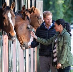 Die Sussex' zeigen sich tierlieb und streicheln die Pferde, die neugierig ihre Köpfe aus ihren Boxen strecken. Ein Detail des Bildes macht aber stutzig: Herzogin Meghan hält farblich passende Handschuhe in der linken Hand. Warum sie diese dabei hat, ist unklar. 