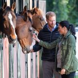 Die Sussex' zeigen sich tierlieb und streicheln die Pferde, die neugierig ihre Köpfe aus ihren Boxen strecken. Ein Detail des Bildes macht aber stutzig: Herzogin Meghan hält farblich passende Handschuhe in der linken Hand. Warum sie diese dabei hat, ist unklar. 