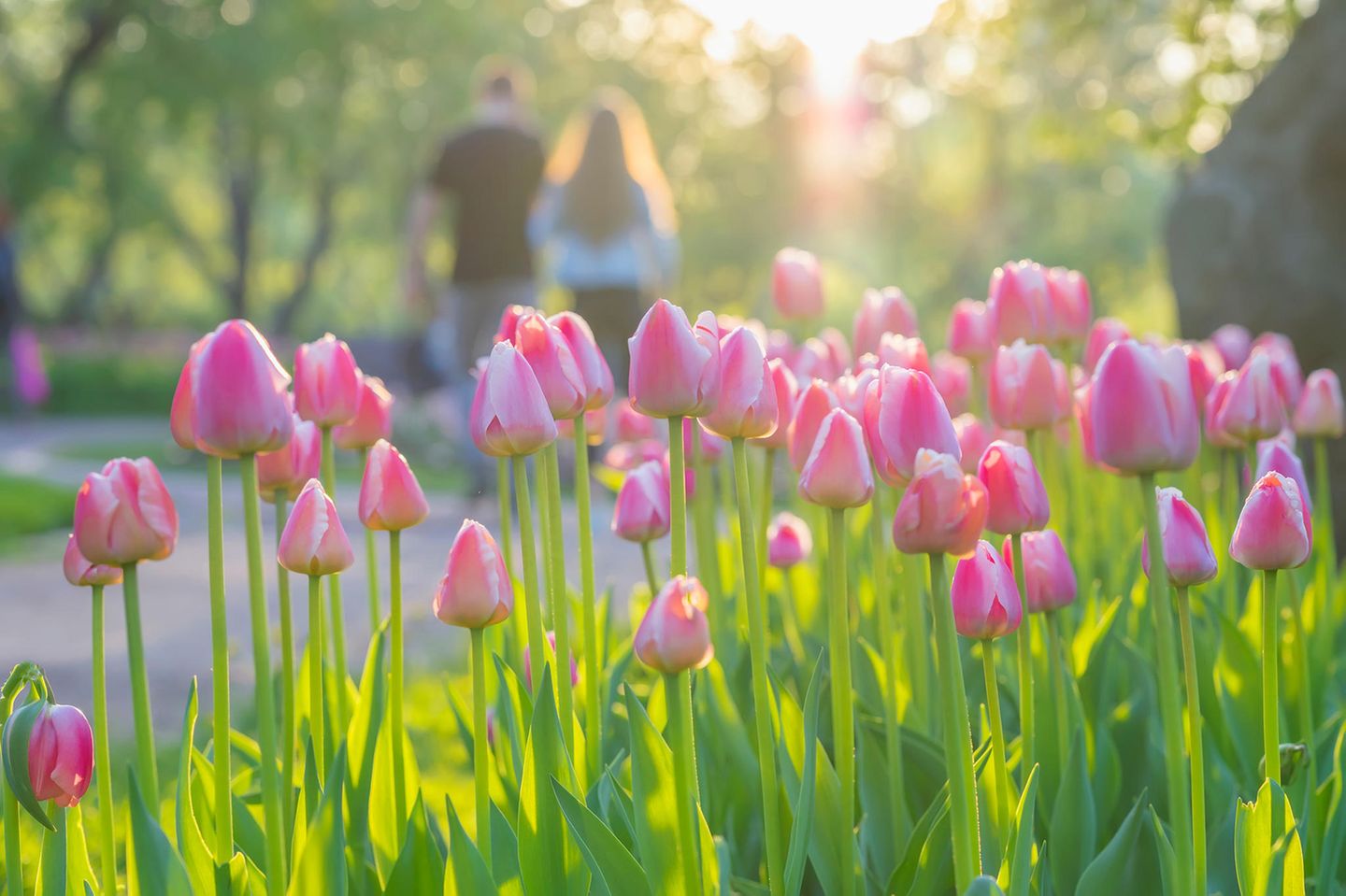 Wir warten gespannt auf den Frühling