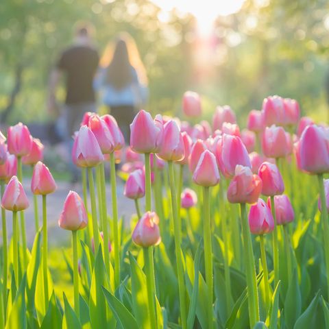 Wir warten gespannt auf den Frühling