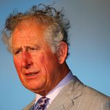 Im Rahmen seiner Karibikreise wird Prinz Charles in Stadion von St. Lucia begrüßt. Dabei wird er Opfer einer Windböe, die für einen kurzen Moment zu dieser lustigen Frisur führt.