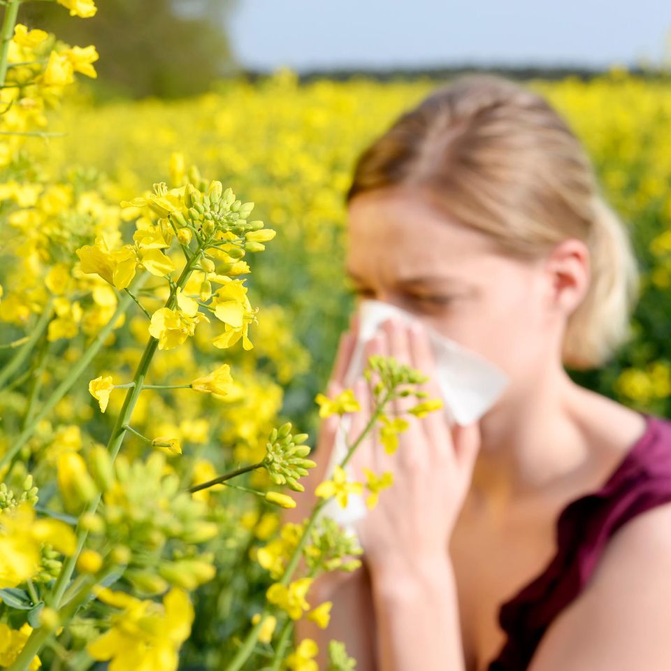 Antihistaminika: So helfen Antihistaminika bei Allergien