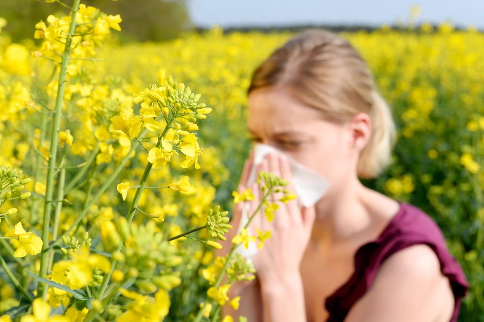 Antihistaminika: So helfen Antihistaminika bei Allergien