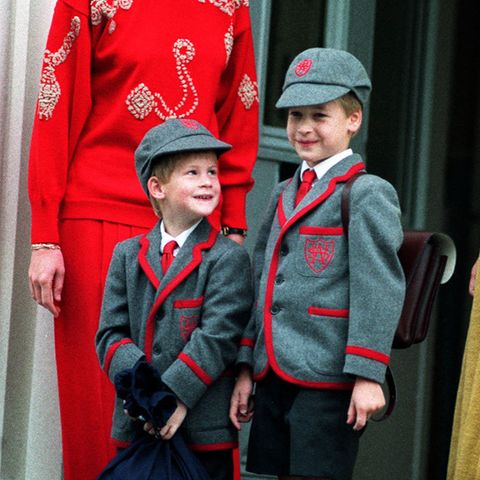 Prinzessin Diana, Prinz Harry, Prinz William