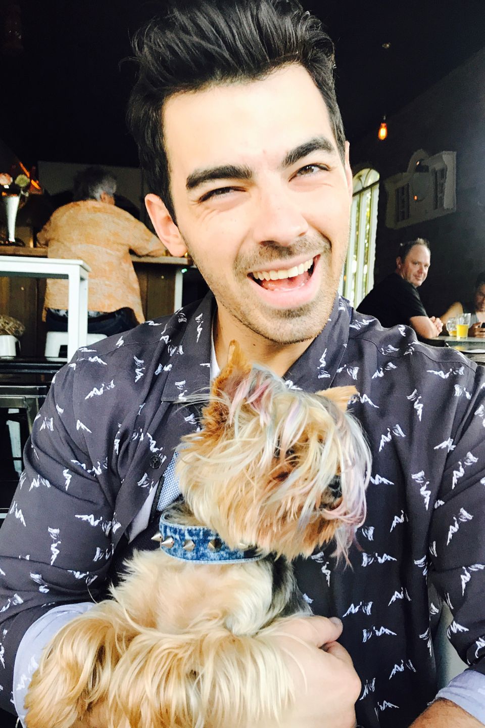 Die Frisur sitzt – sowohl bei Musiker Joe Jonas, als auch bei seinem kleinen Vierbeiner. Die Frisur sitzt – sowohl bei Musiker Joe Jonas, als auch bei seinem kleinen Vierbeiner.