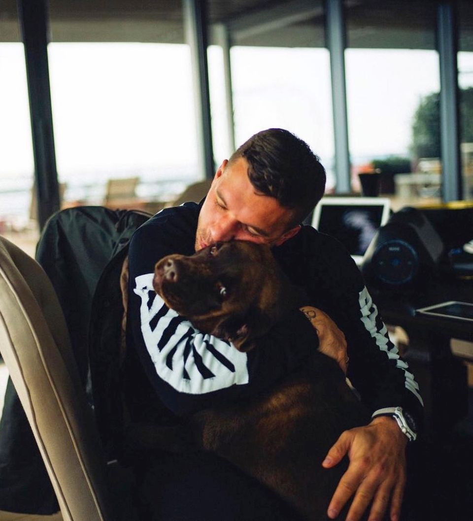 Lukas Podolski schenkt seinem schokobraunen Labrador regelmäßig eine Knuddeleinheit. Wie süß das aussieht, zeigt er uns auf seinem neuesten Instagram-Posting. Dazu schreibt der Fußball-Star: "Wer kann da widerstehen?" – wir könnten es jedenfalls auch nicht. Lukas Podolski schenkt seinem schokobraunen Labrador regelmäßig eine Knuddeleinheit. Wie süß das aussieht, zeigt er uns auf seinem neuesten Instagram-Posting. Dazu schreibt der Fußball-Star: "Wer kann da widerstehen?" – wir könnten es jedenfalls auch nicht.
