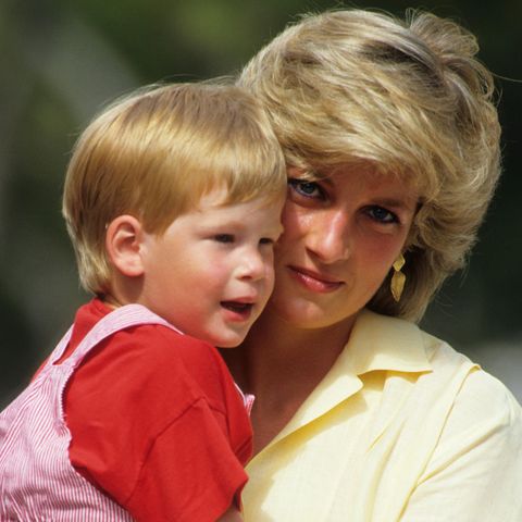 Prinz Harry, Prinzessin Diana