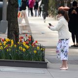 Schönen Blumen kann keine Frau widerstehen. Auch diese junge Dame freut sich über die Blütenpracht von Tulpen und Narzissen in den Straßen New Yorks und hält sie mit Fotos auf ihrem Smartphone fest. Wer diese Mini-Influencerin ist?