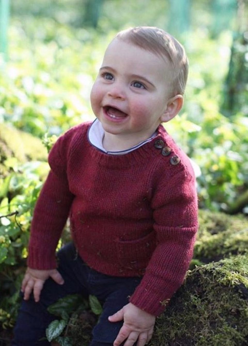 Prinz Louis: Dieses Foto von Prinz Louis zur Feier seines ersten Geburtstags am 23. April 2019 veröffentlicht. Prinz Louis