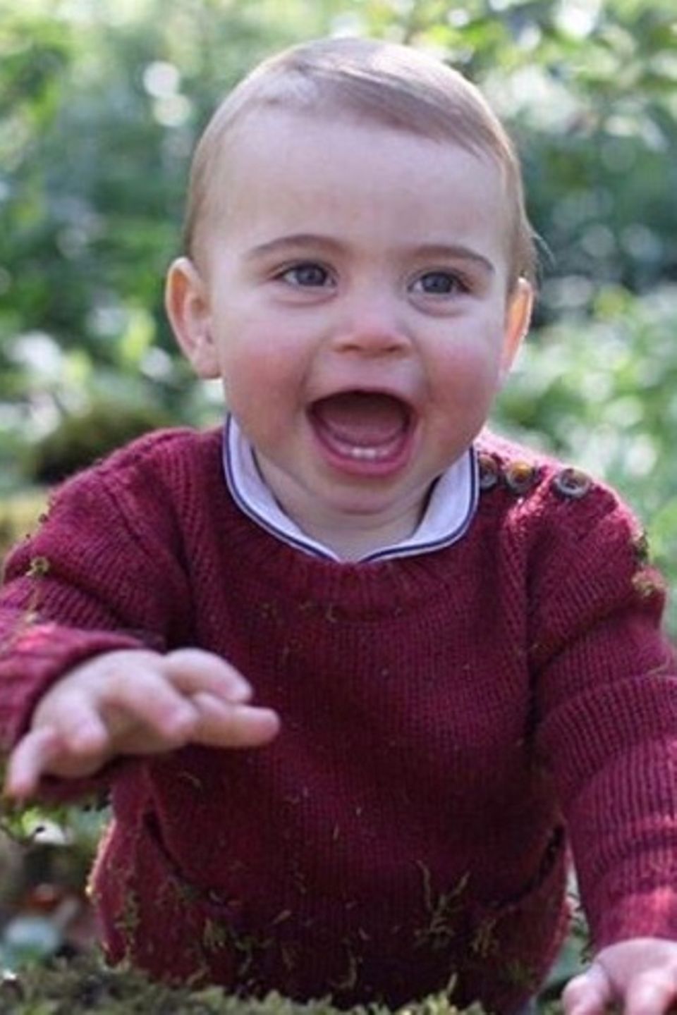 Prinz Louis