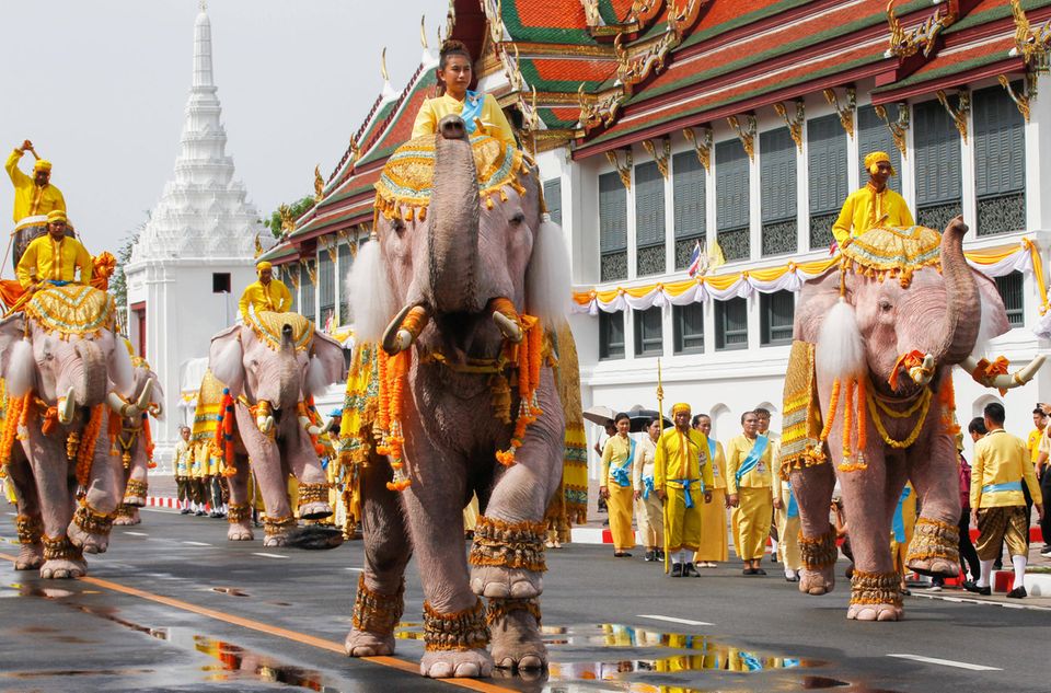 8. Mai 2019 In den Straßen von Bangkok findet zu Ehren des neuen Königs eine prächtige Elefantenparade statt. 8. Mai 2019 In den Straßen von Bangkok findet zu Ehren des neuen Königs eine prächtige Elefantenparade statt.
