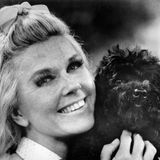 Ihre Stiftung "Doris Day Animal League" setzt sich für herrenlose Tiere ein, insbesondere Hunde, ein.