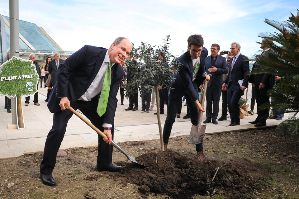 Im Rahmen der "Plant Ahead - A Trillion Trees For Our Future"-Kampagne pflanzt Fürst Albert symbolisch einen Olivenbaum in Monte Carlo.