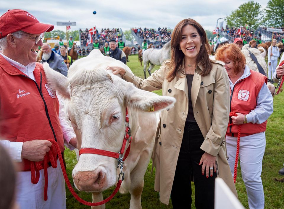 31. Mai 2019 Muuuh! Prinzessin Mary amüsiert sich bei der 50. Landwirtschaftsmesse in Roskilde tierisch. 31. Mai 2019 Muuuh! Prinzessin Mary amüsiert sich bei der 50. Landwirtschaftsmesse in Roskilde tierisch.