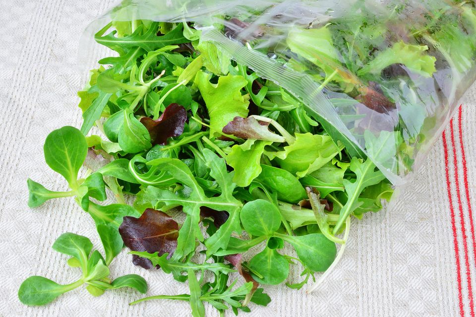 Gesundheits-Ticker (Archiv): Fertigsalatmischungen sollten alsbald verbraucht werden. Fertigsalatmischungen sollten alsbald verbraucht werden.