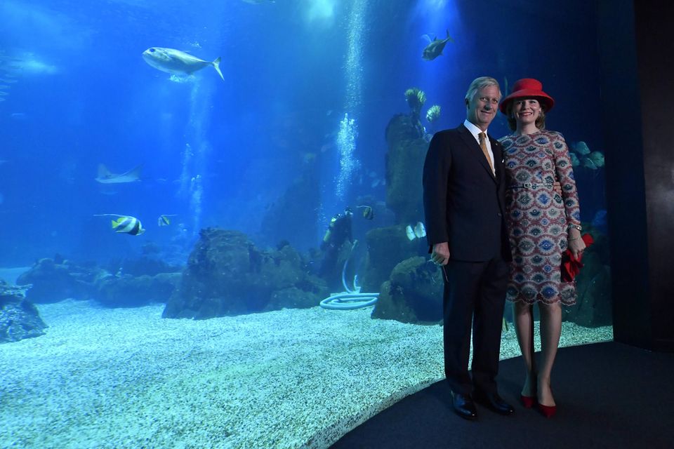 König Philippe und Königin Mathilde besuchen Besuch das "Oceano Azul Foundation and Oceanarium" in Lissabon. König Philippe und Königin Mathilde besuchen Besuch das "Oceano Azul Foundation and Oceanarium" in Lissabon.