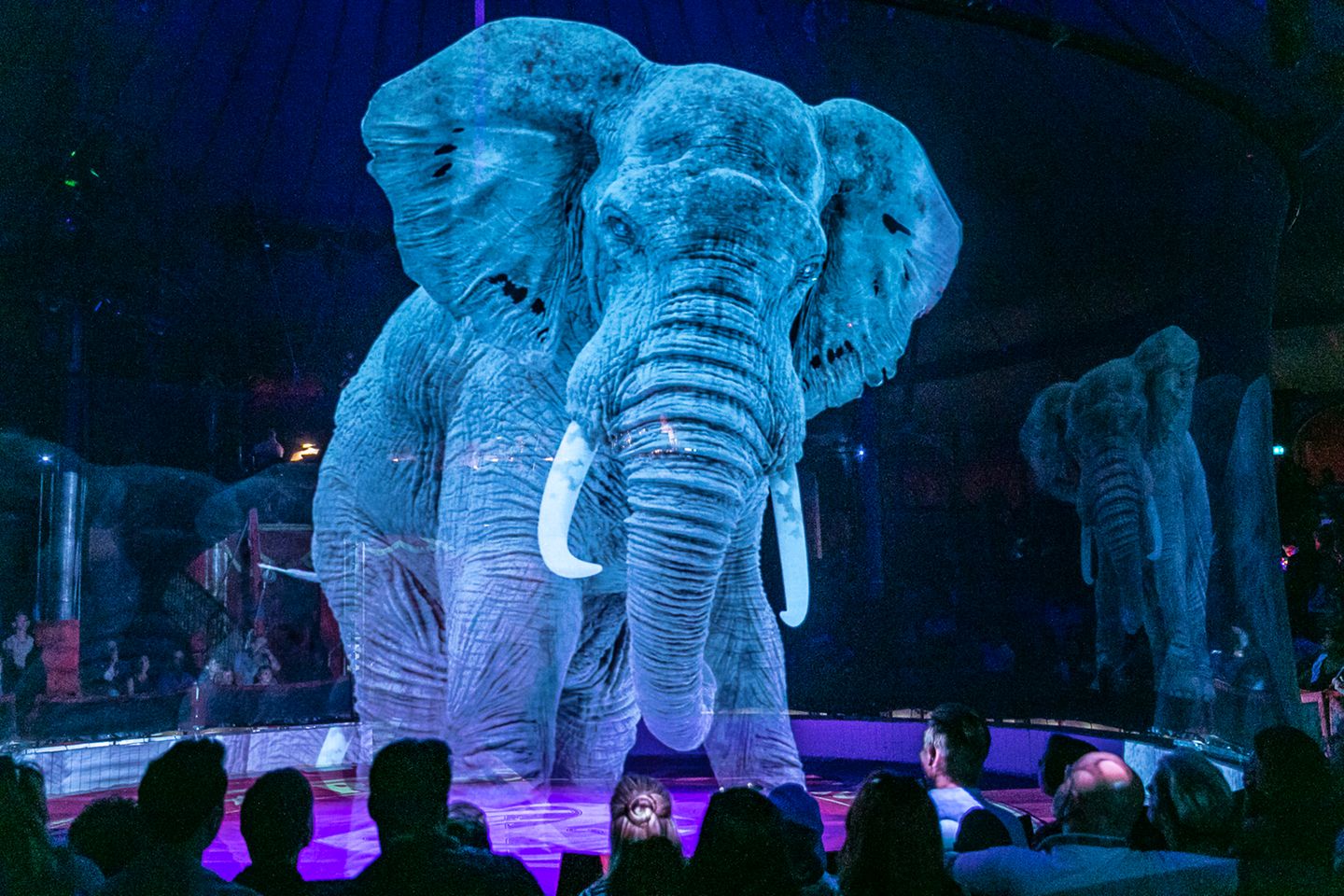 Hologramm-Elefant im Circus Roncalli