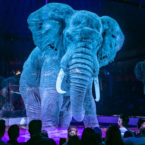 Hologramm-Elefant im Circus Roncalli