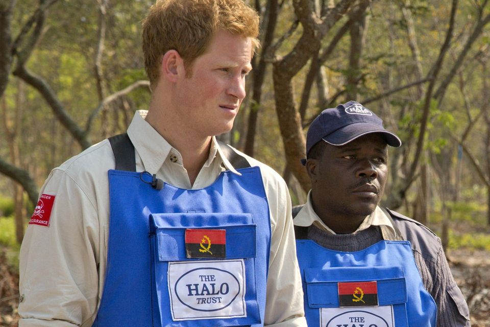 Prinz Harry, Angola Prinz Harry, Angola