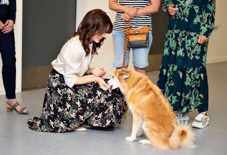 17. Juni 2019 Im Neurozentrum des Krankenhauses Hammel schließt Prinzessin Mary Bekanntschaft mit einem zutraulichen Therapiehund. 17. Juni 2019 Im Neurozentrum des Krankenhauses Hammel schließt Prinzessin Mary Bekanntschaft mit einem zutraulichen Therapiehund.