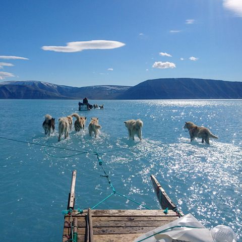 Foto aus Grönland zeigt dramatische Folgen der Klimaerwärmung