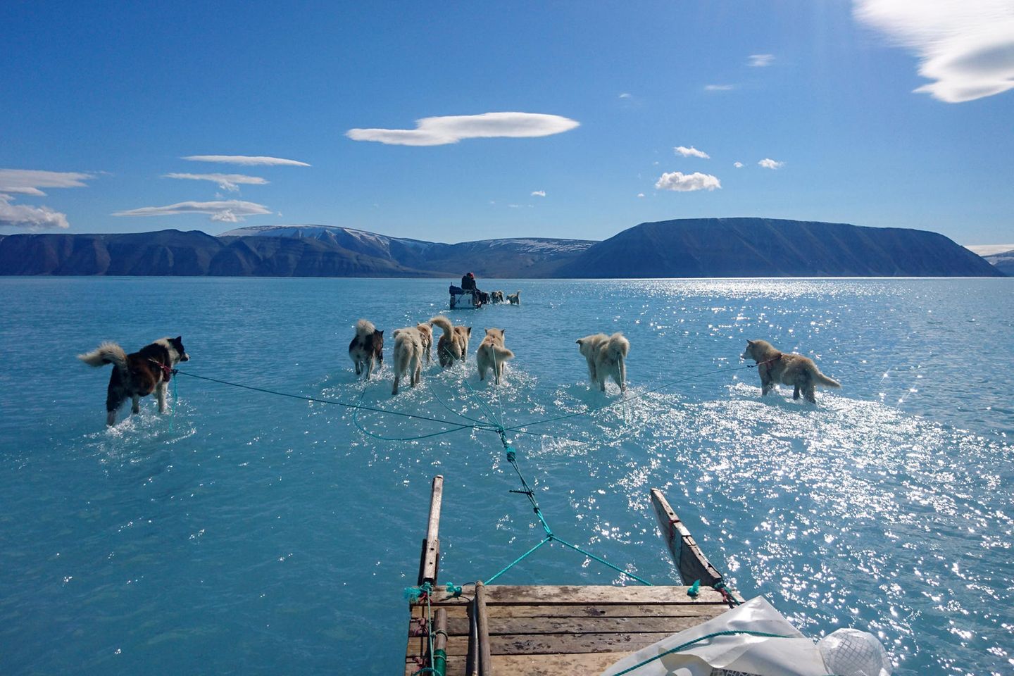 Foto aus Grönland zeigt dramatische Folgen der Klimaerwärmung