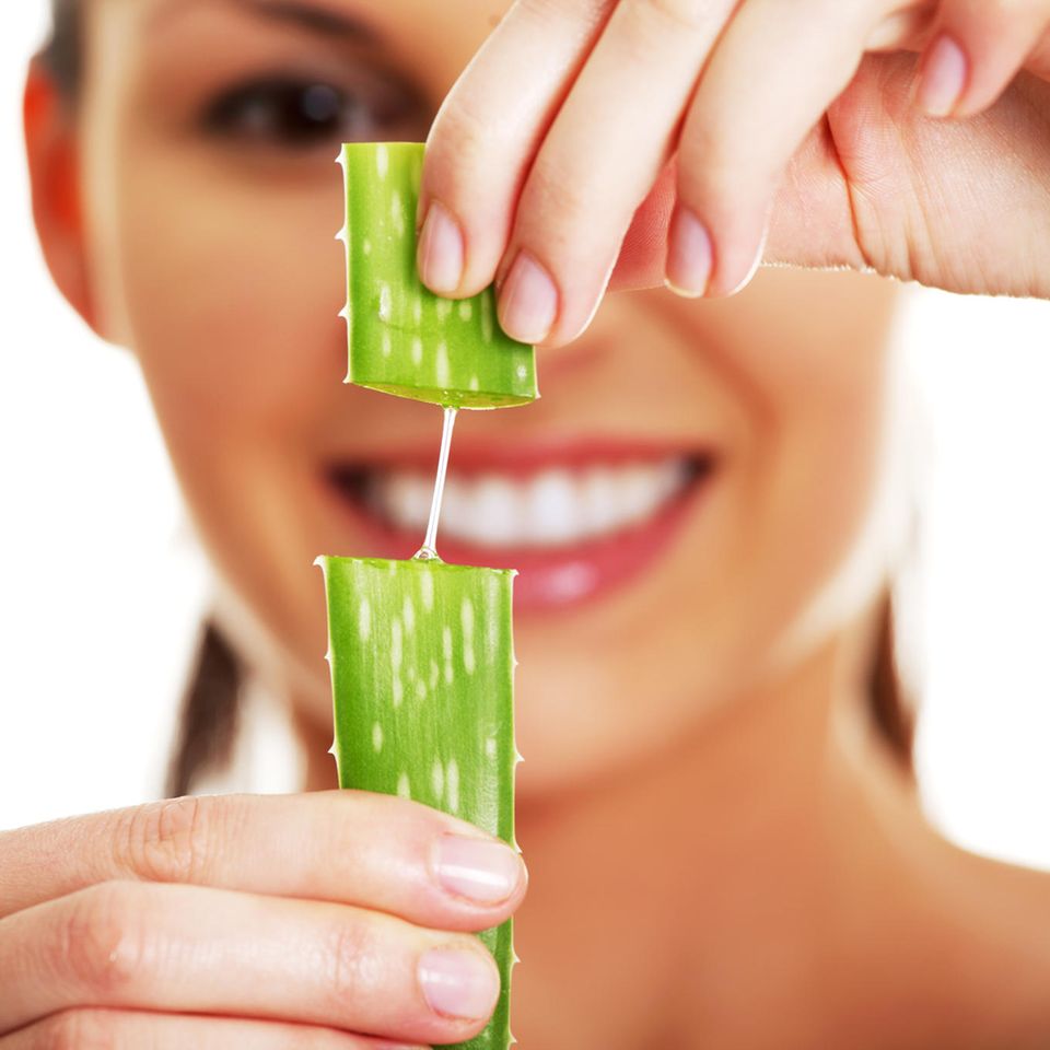 Aloe-vera-Wirkung