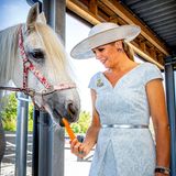 25. Juni 2019  Bei der Eröffnung der Reitschule "No Limits" in Noordwijk füttert Königin Máxima ein Pferd mit einer Karotte.
