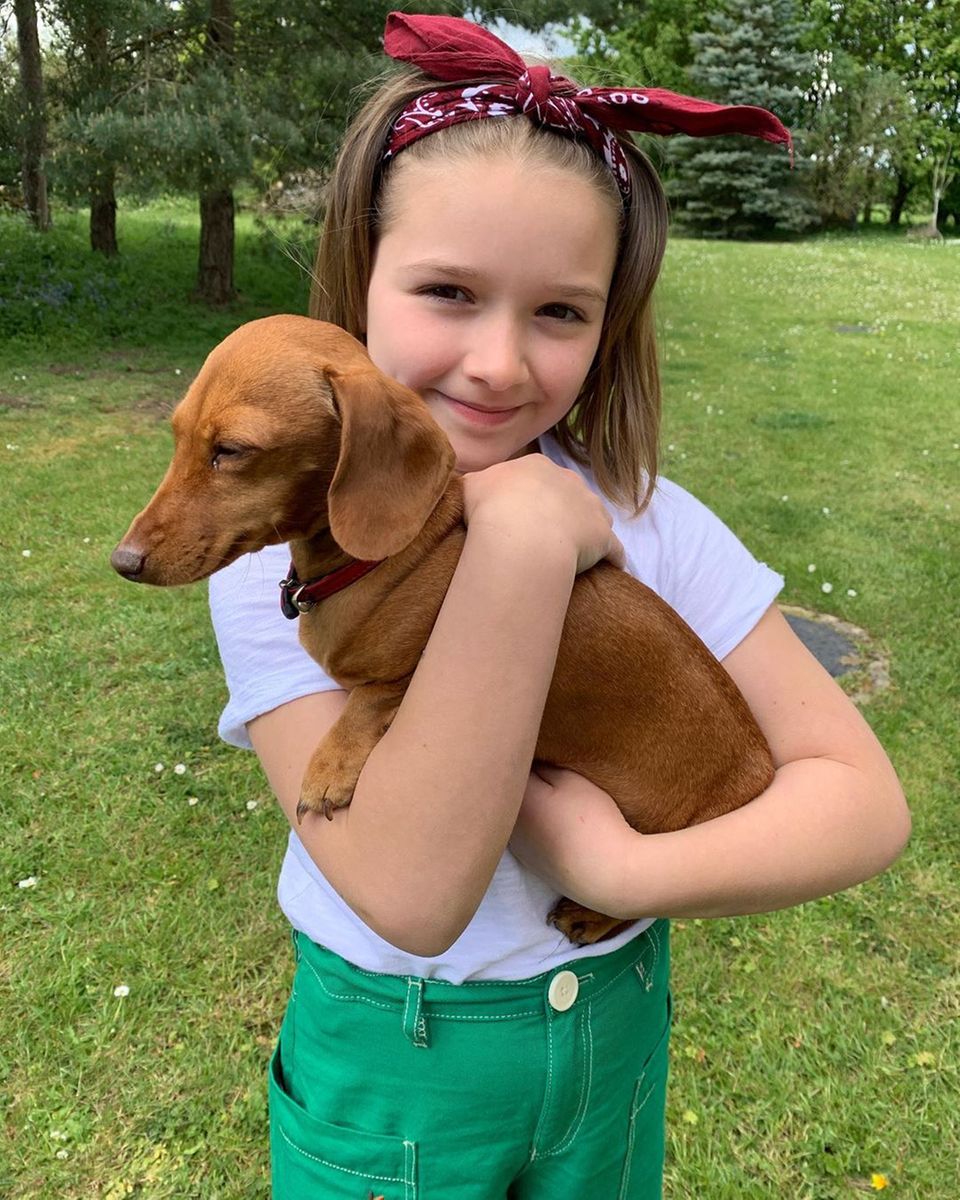 10. Juli 2019 Harper wird von ihren drei Brüdern auf Händen getragen! Der älteste Sohn von Victoria und David Beckham, Brooklyn, teilt zum Geburtstag einen knuffigen Schnappschuss von seiner Schwester und einem kleinen Hund. Dazu schreibt der 20-Jährige: "Alles Gute zum Geburtstag an die beste kleine Schwester aller Zeiten." 10. Juli 2019 Harper wird von ihren drei Brüdern auf Händen getragen! Der älteste Sohn von Victoria und David Beckham, Brooklyn, teilt zum Geburtstag einen knuffigen Schnappschuss von seiner Schwester und einem kleinen Hund. Dazu schreibt der 20-Jährige: "Alles Gute zum Geburtstag an die beste kleine Schwester aller Zeiten."