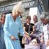 Im Hafenstädtchen Mevagissey lässt Herzogin Camilla bei ihrem Besuch diesen kleinen Hund im Kinderwagen an einer Blume schnuppern.